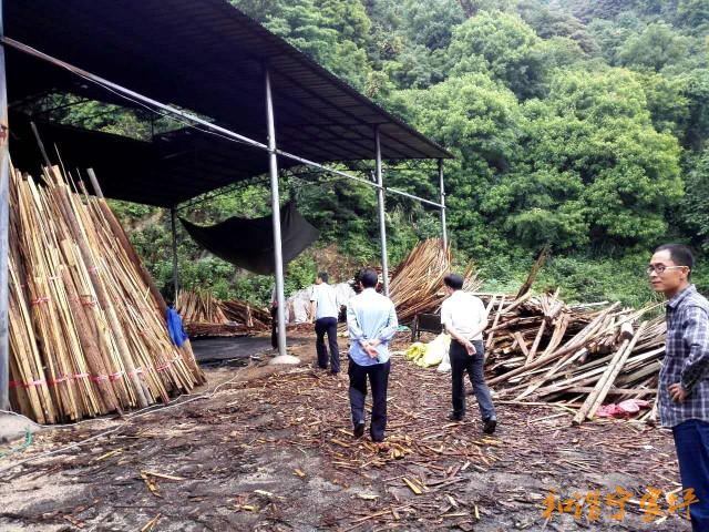 宁家坪镇深入开展安全生产大排查、大管控、大整治集中行动工作