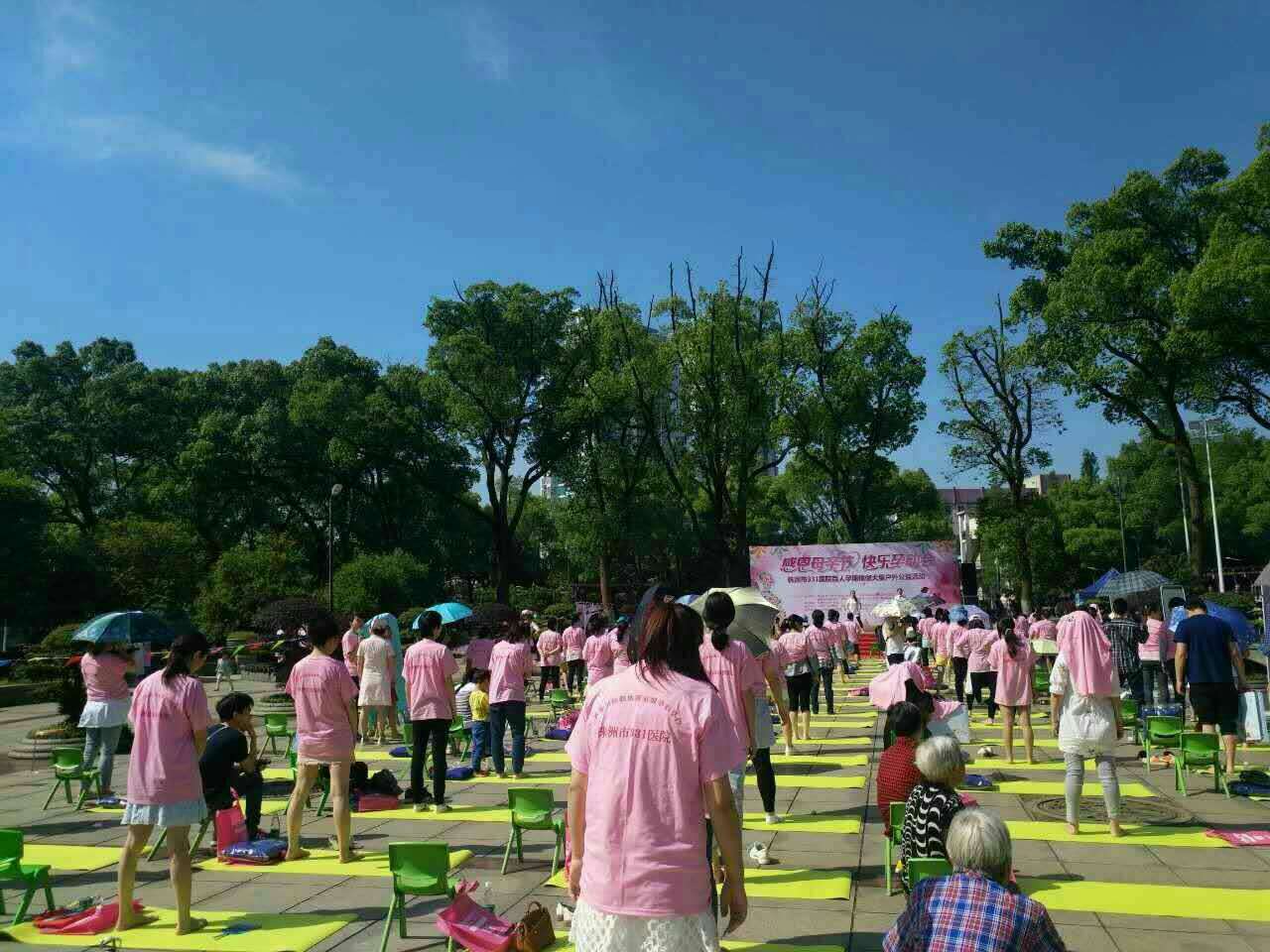 芦淞区开展百人孕期瑜伽大型户外公益活动