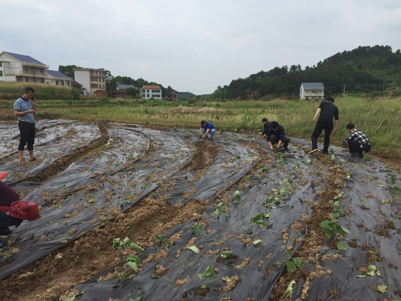 落实精准扶贫政策 开展结对入户走访