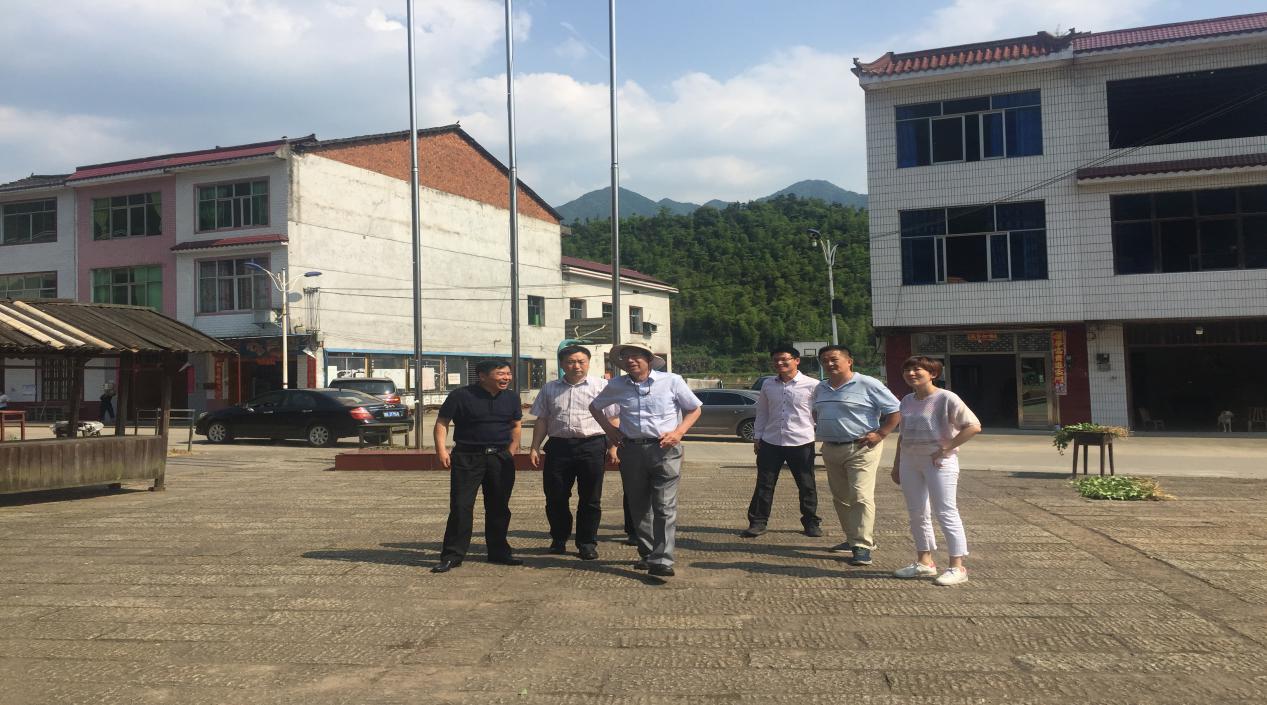 中国旅游协会领导到我县旅游景区考察调研
