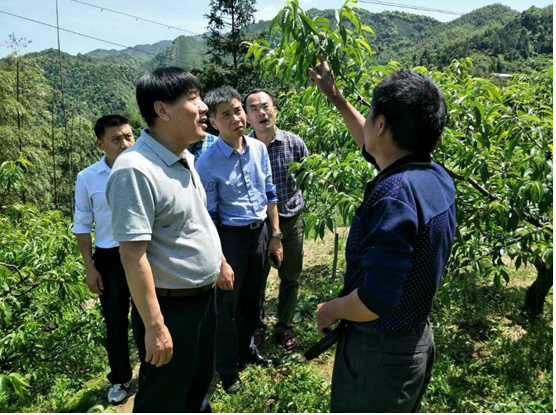 区政协主席陈光国到炎陵县仙坪村调研指导精准扶贫工作