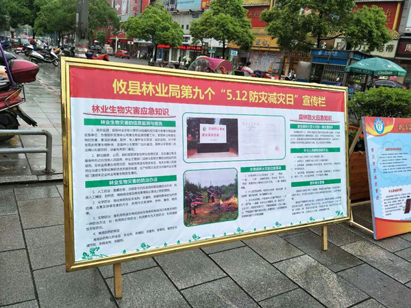 攸县林业局组织开展“5.12”应急知识宣传活动