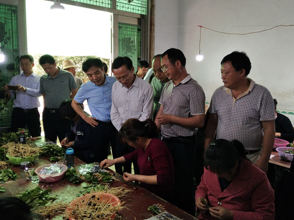 省林业厅宋自力一行来攸调研油茶育苗产业