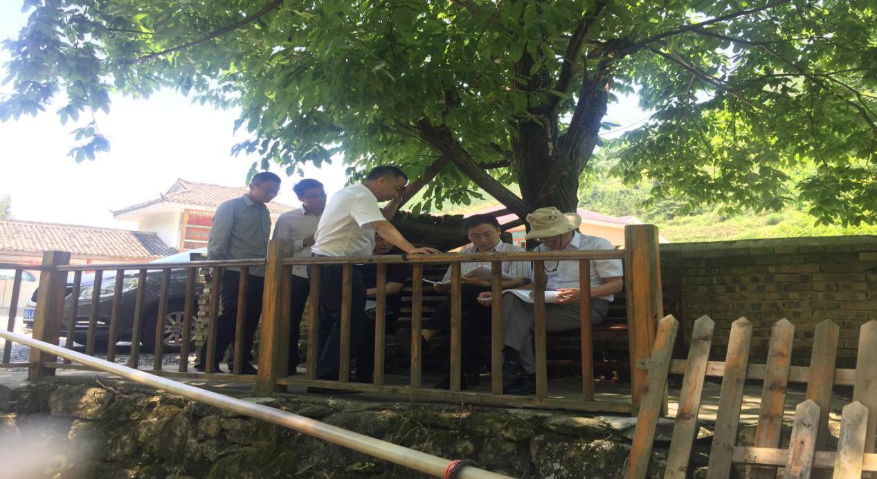 中国旅游协会领导到我县旅游景区考察调研