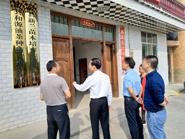 省林业厅宋自力一行来攸调研油茶育苗产业