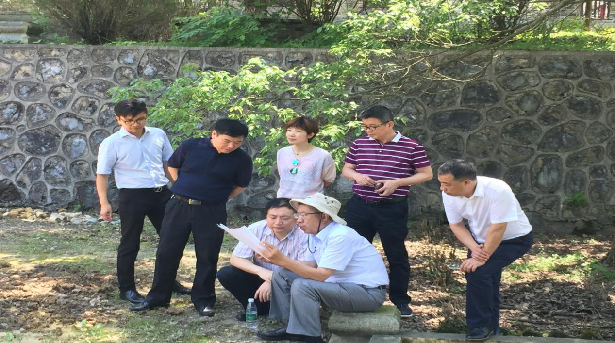 中国旅游协会领导到我县旅游景区考察调研
