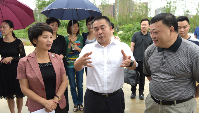 市政协来云龙视察监督项目攻坚情况要求乘势而上 再掀项目攻坚新高潮