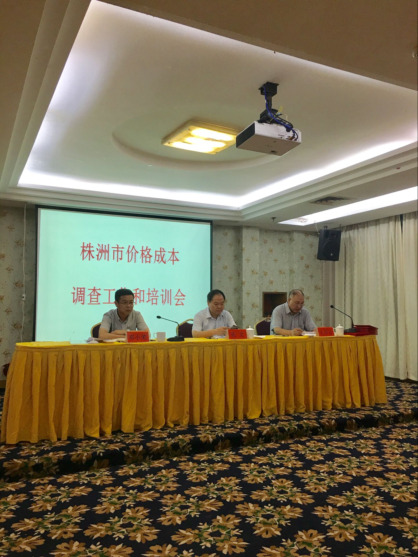 全市价格成本调查工作暨专题培训会在攸召开
