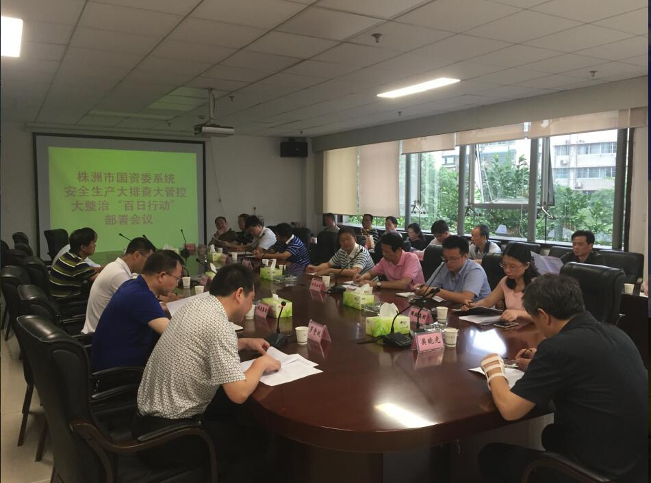市国资委召开全市国资委系统安全生产大排查大管控大整治“百日行动”部署会议