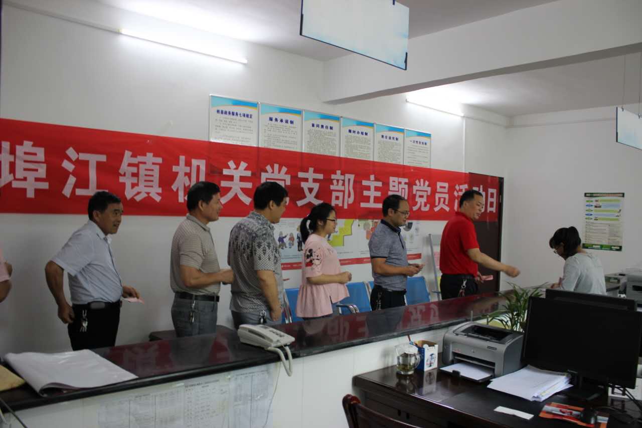 酒埠江镇机关党支部开展“主题党日 ”活动