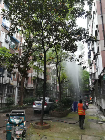 区绿化处为漂家井社区治理虫害