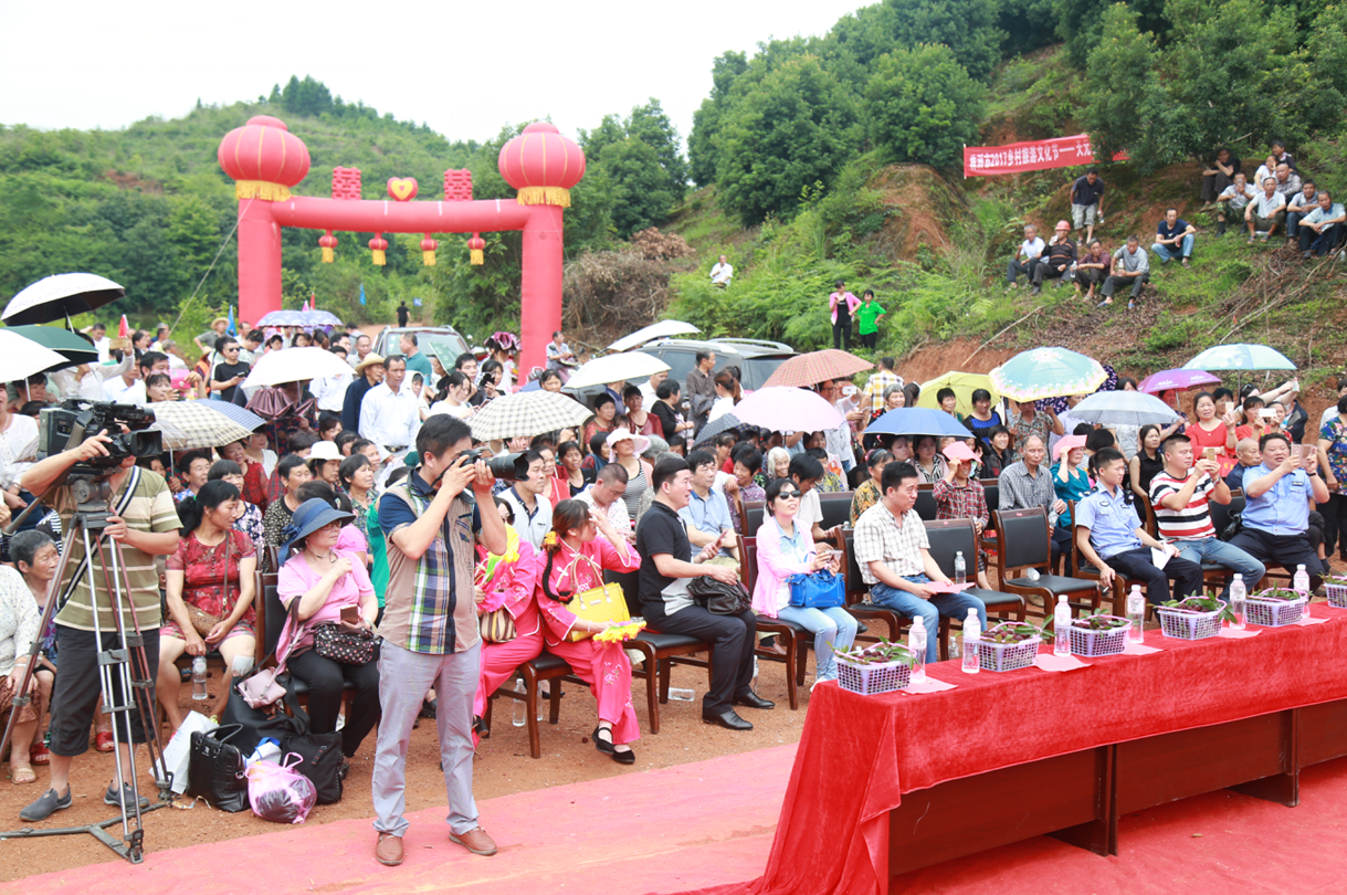 天元区三门松柏首届杨梅节开幕