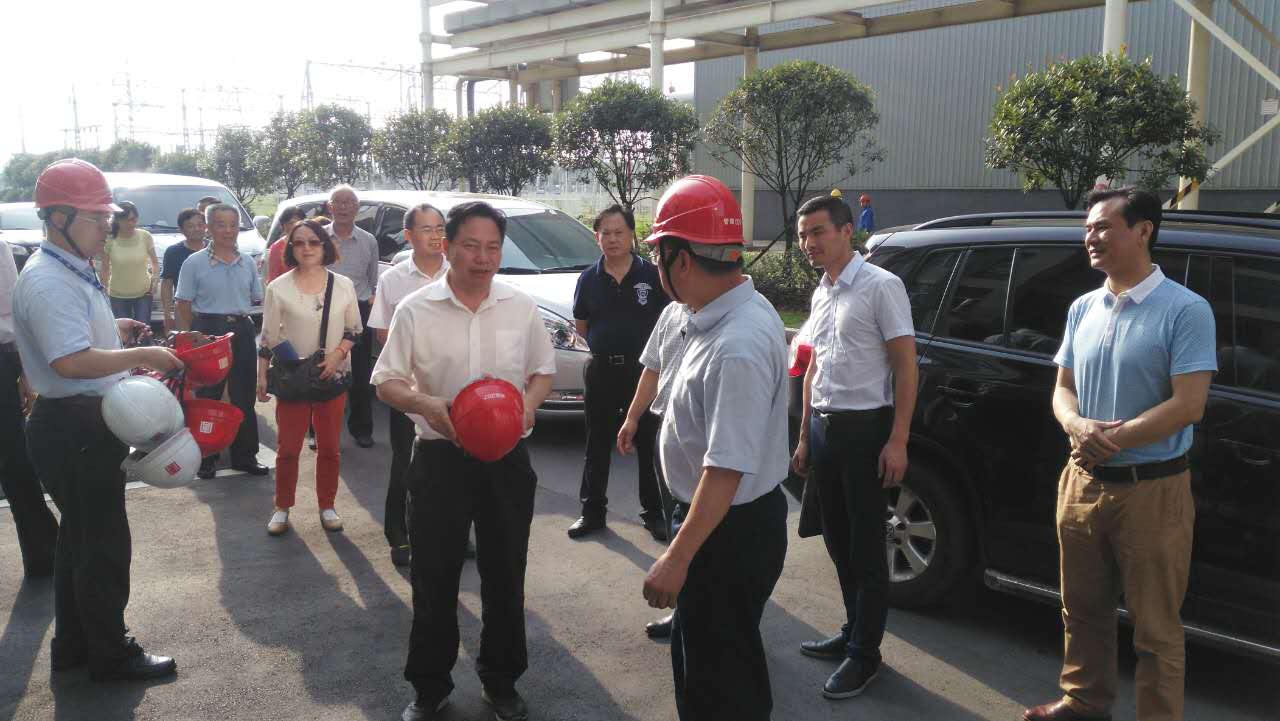 市人大副主任王建之一行到网岭调研