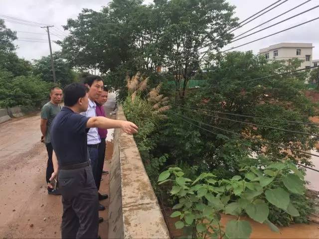 区委书记王建勇督导检查防汛工作