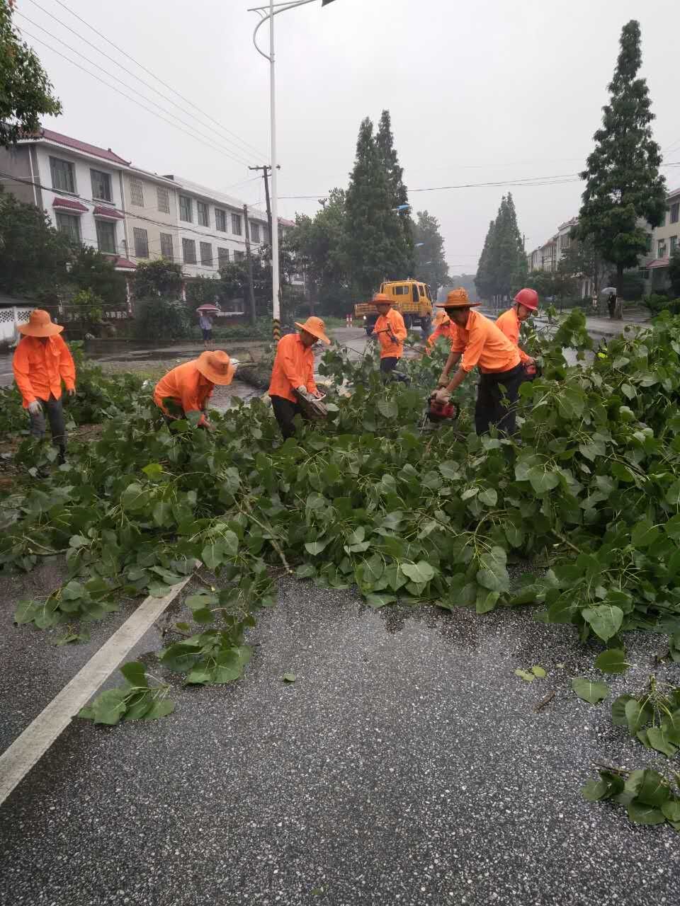 攸县公路养护中心冒雨砍伐危树 解安全隐忧