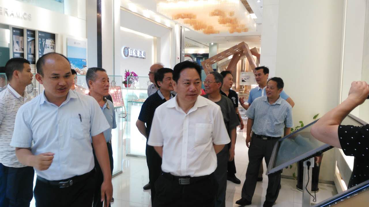 市人大副主任王建之一行到网岭调研