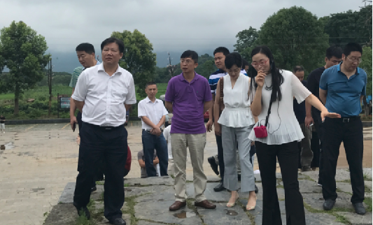 区委副书记蒋峰带队赴浏阳市、江永县考察学习特色小镇建设工作