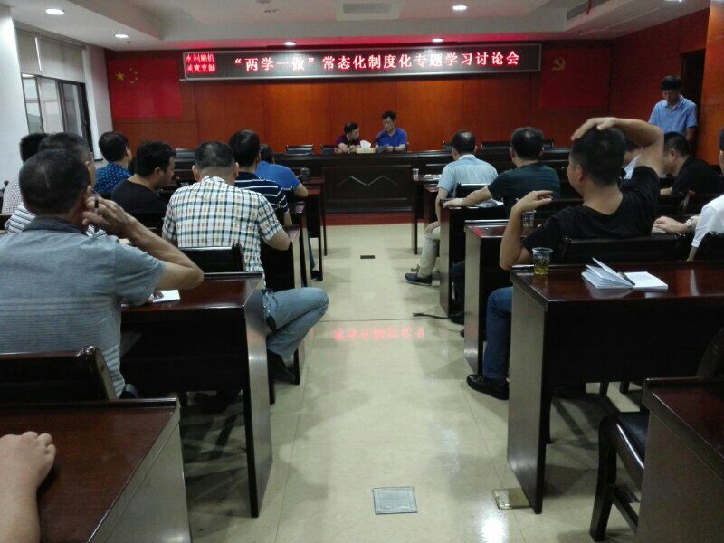 水利局机关党支部"两学一做"常态化制度化专题讨论会