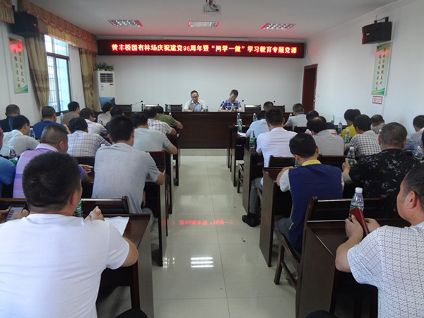 庆七一：黄丰桥国有林场组织上 “两学一做”专题党课