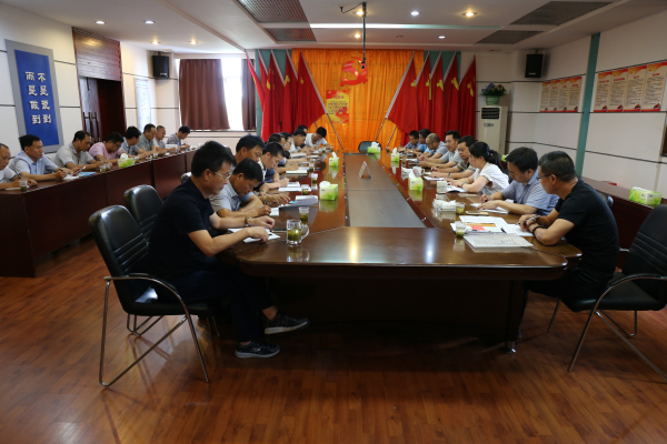 攸发集团机关党支部开展“两学一做”主题党日活动