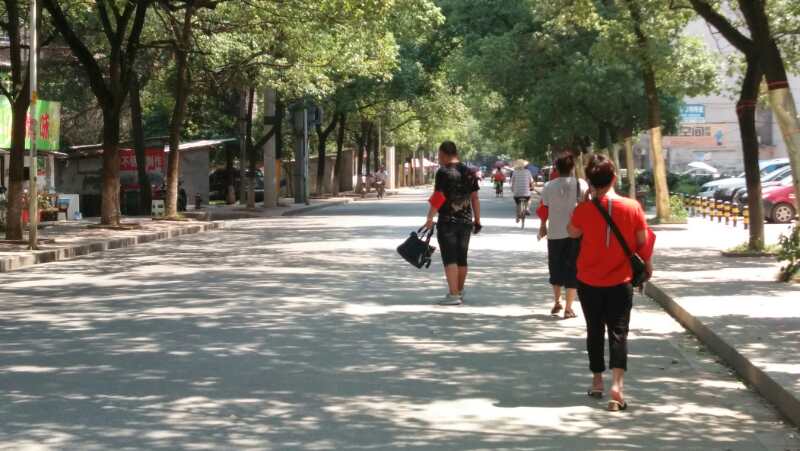全员参与迎创卫 全力以赴抓整改