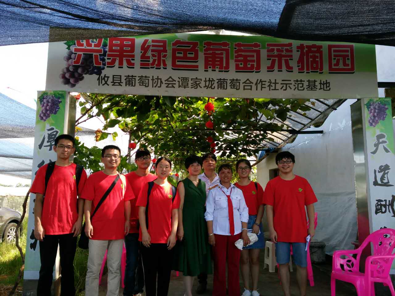 酒埠江镇积极组织“实训攸州”实训大学生赴葡萄合作社示范基地开展暑期调研活动
