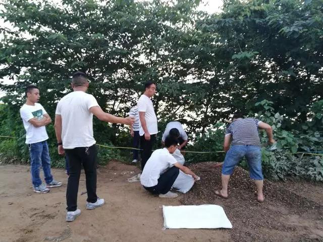 枫溪街道：万众一心 众志成城