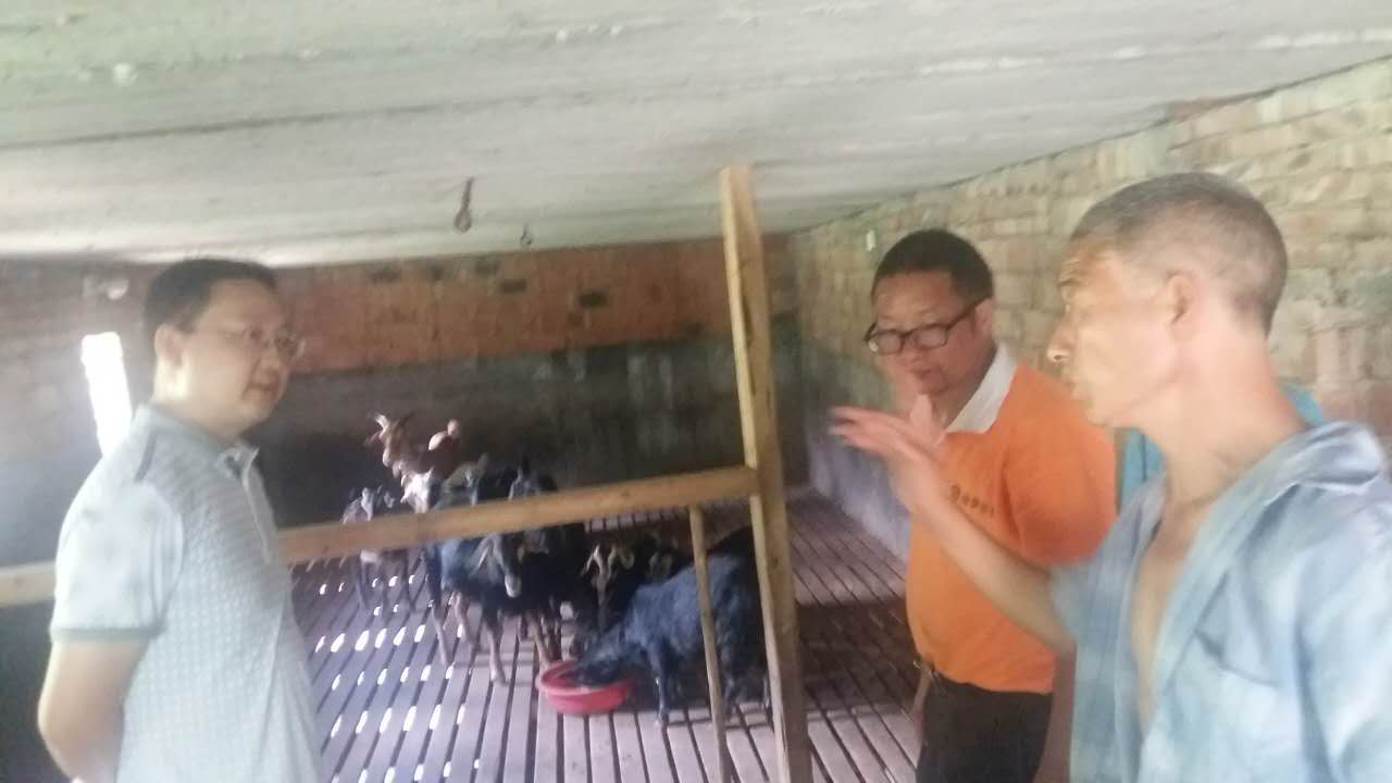 县市场服务中心开展“主题党日 精准扶贫”活动