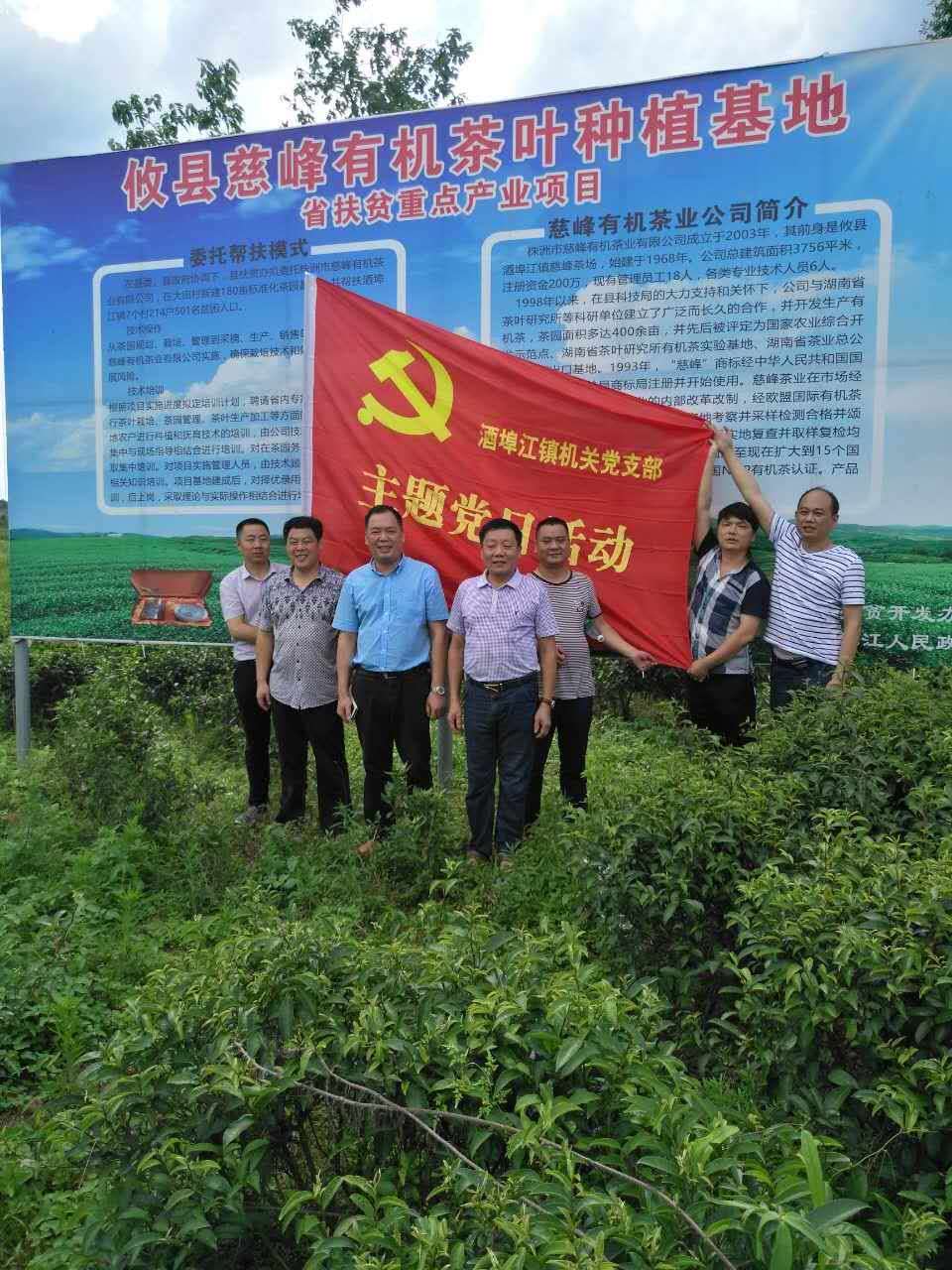 酒埠江镇开展机关党支部庆七一主题党日 县委宣传部领导讲党课系列活动