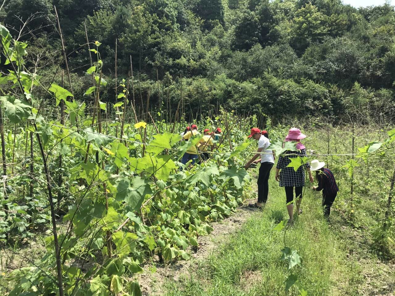 帮扶新举措 实训新收获