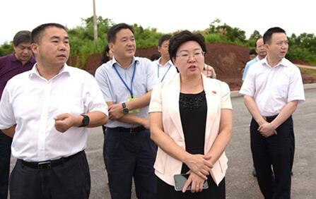 市委组织部部长彭爱华一行调研云发集团党建工作