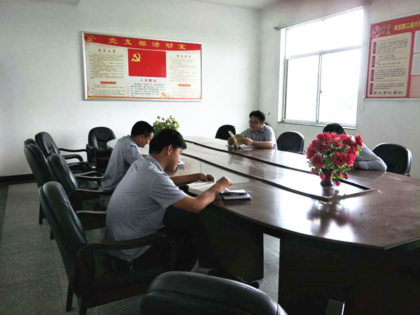 攸县法院:七月主题党日活动丰富多彩