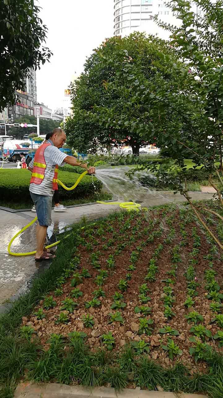 全区绿化养护进入“抗旱模式”
