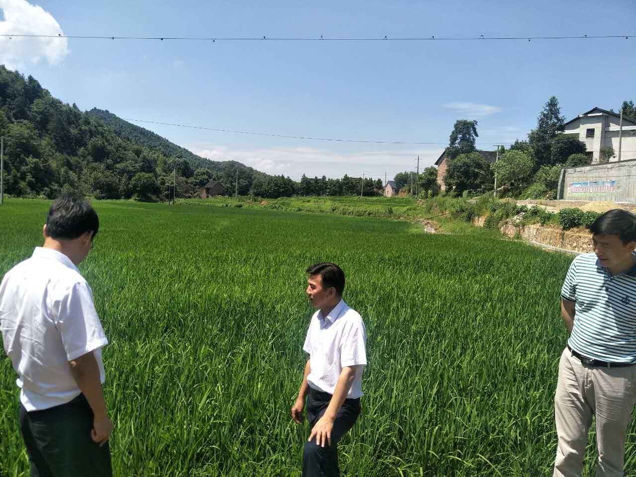 市环保局局长章文才到先锋村走访慰问