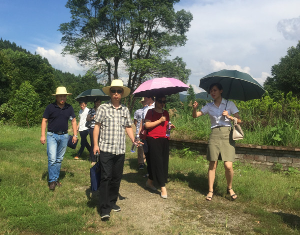 市政府办相关负责人来酒埠江风景区参观考察