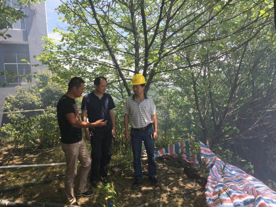 加强督查指导 消除安全隐患