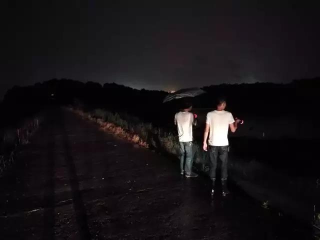 枫溪街道：万众一心 众志成城