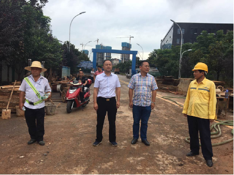 副区长姚艺督查庆云山庄山体滑坡地质灾害治理工程及江渌路项目