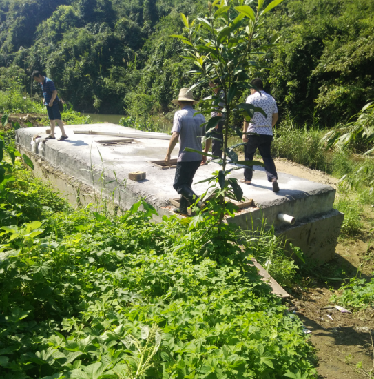 莲塘坳镇进一步加强畜禽养殖场执法监管