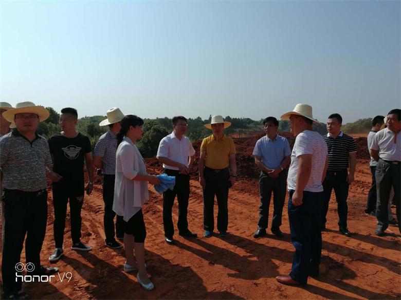 【强园区攻坚战】县委常委统战部部长宋长征到昊华化工现场督查施工情况