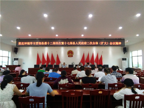 菜花坪镇：深入学习贯彻县委十二届四次暨十七届县人民政府二次全体（扩大）会议精神