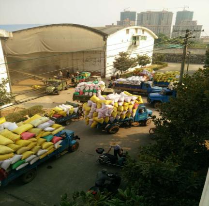攸县早籼稻保护价收购正式启动 城关和新市国家粮食储备库被确定为湖南省第一批保护价收储库点