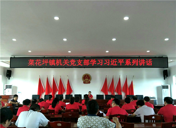 菜花坪镇：“主题党日活动”之学习习近平系列讲话 敬老爱心行