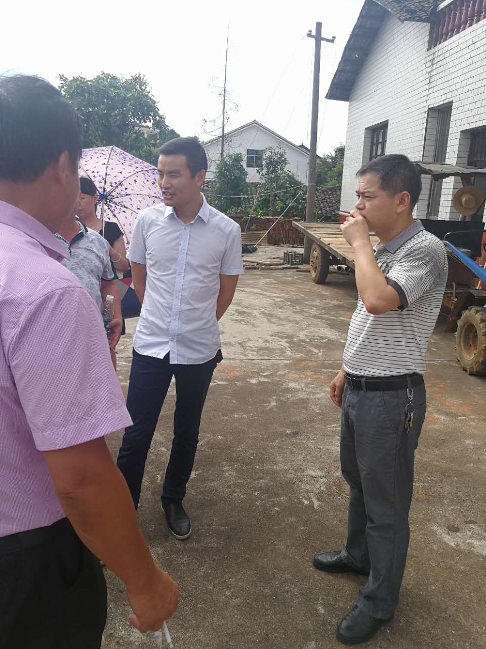 网岭镇征拆征迁百日攻坚在行动