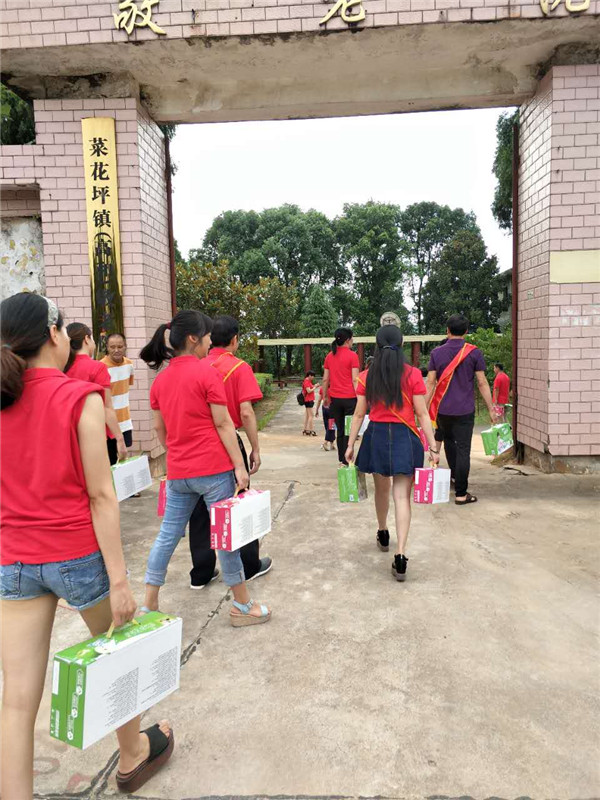 菜花坪镇：“主题党日活动”之学习习近平系列讲话 敬老爱心行