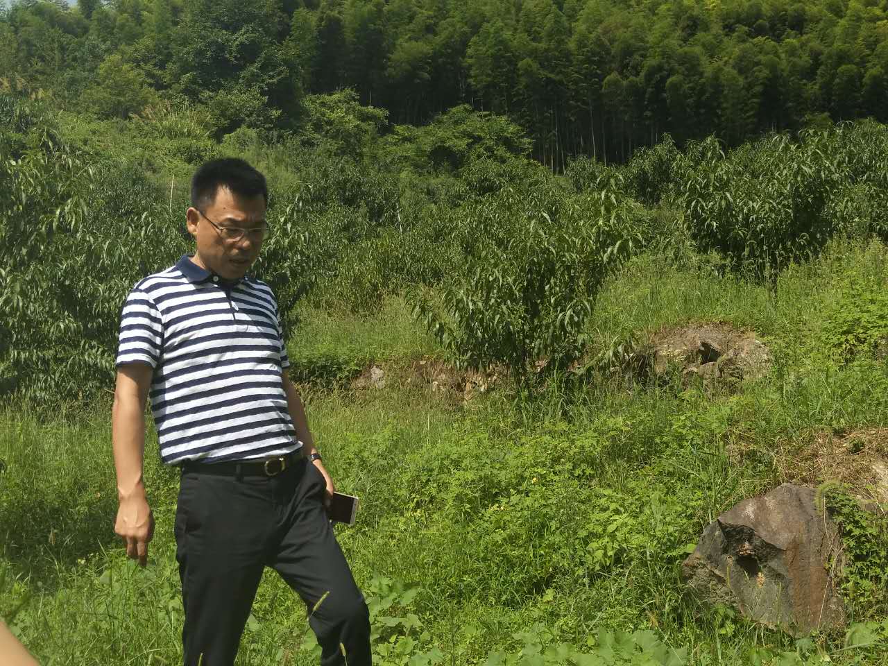 市城管局一行到鸾山镇江冲村指导精准扶贫工作