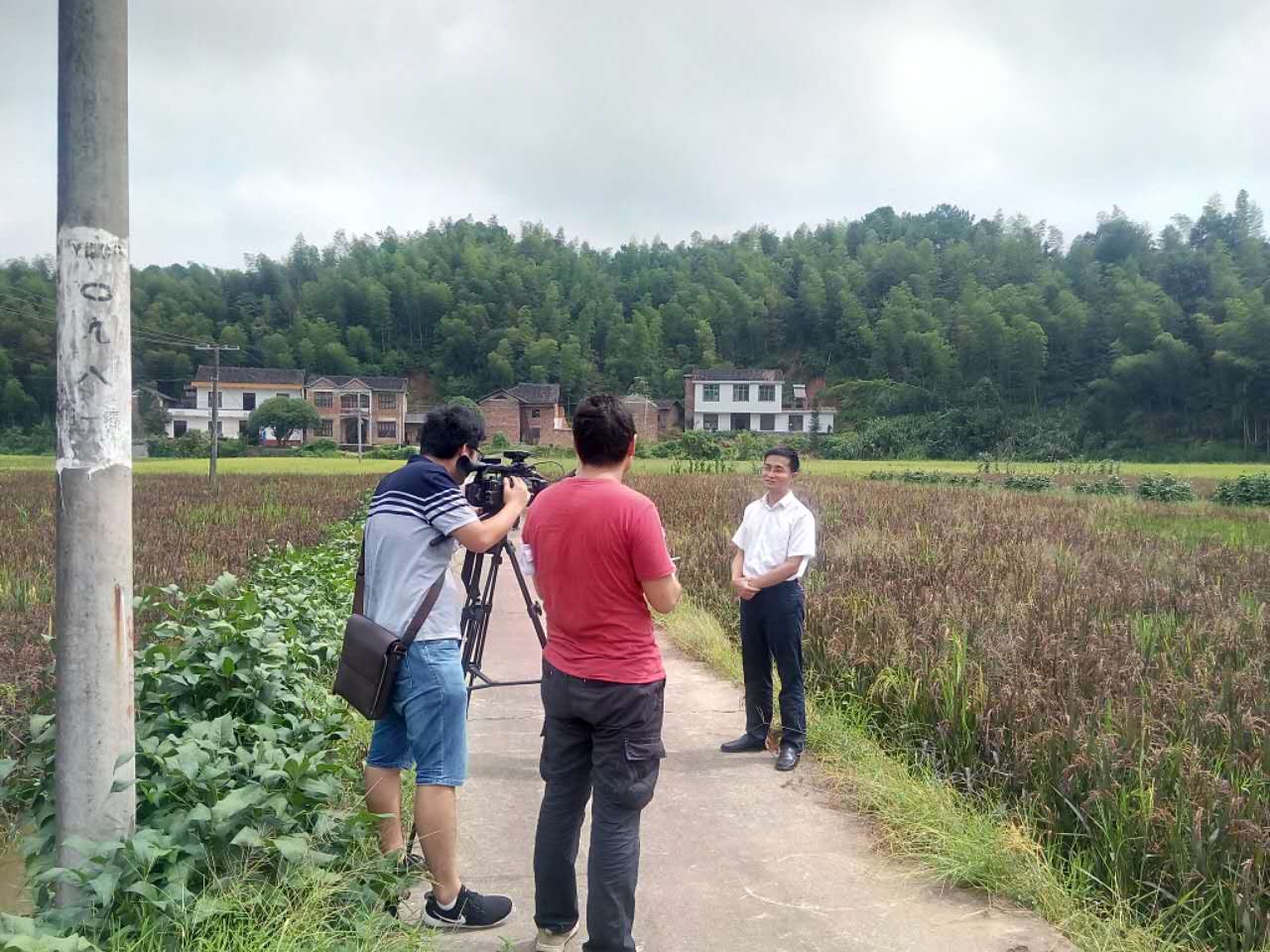 株洲市主要媒体来我县采访“中国特色小镇”——皇图岭镇