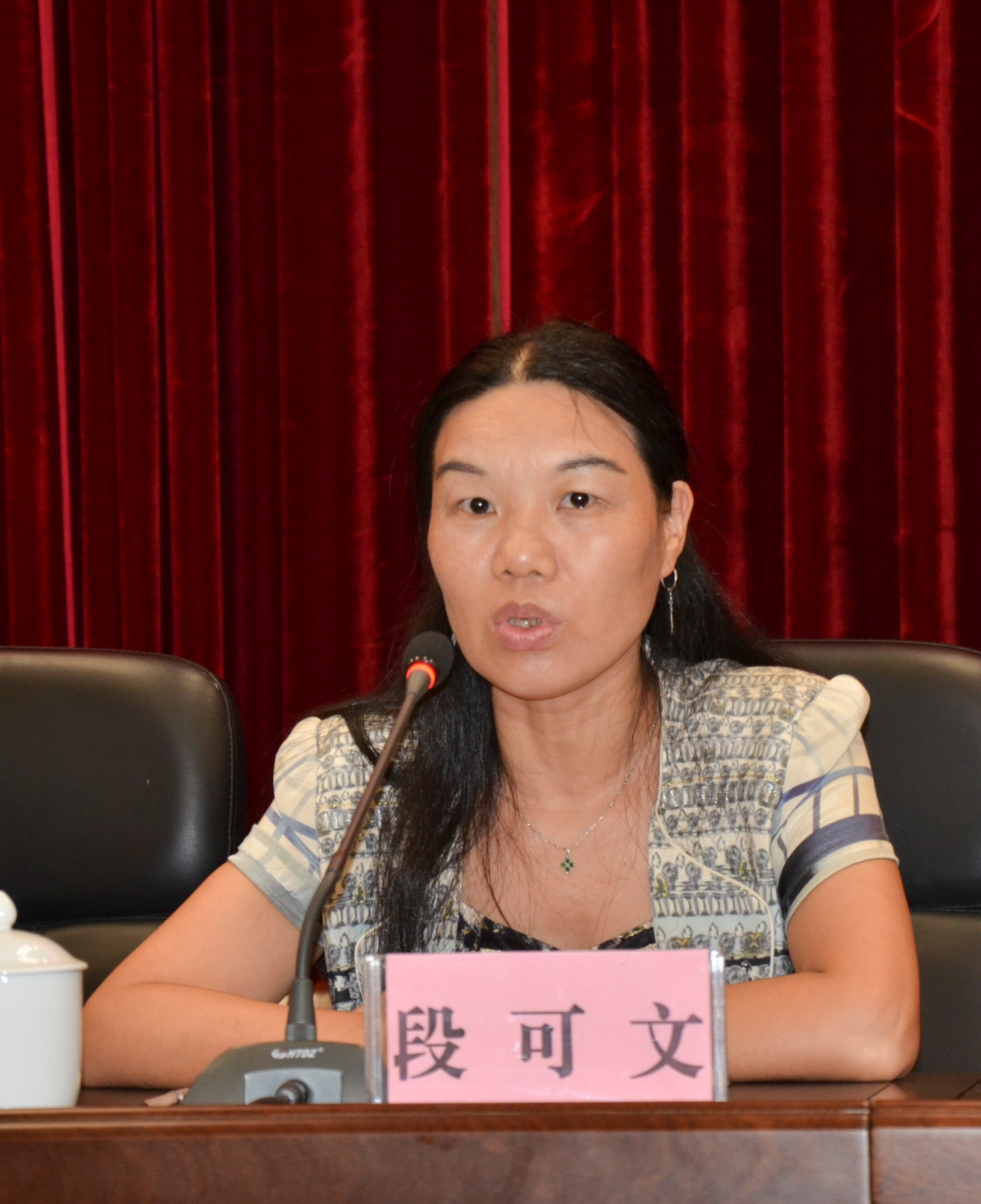 区人大常委会对教育工作进行评议