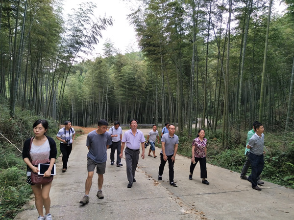 中国林业科学研究院项目实施组来攸开展项目课题调研