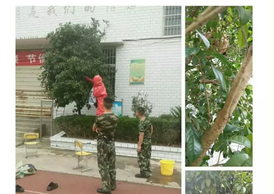 忙碌并充实，快乐且幸福